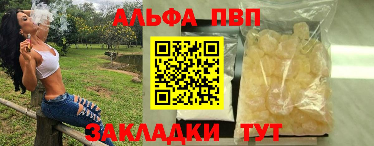 Альфа ПВП СК Кингисепп