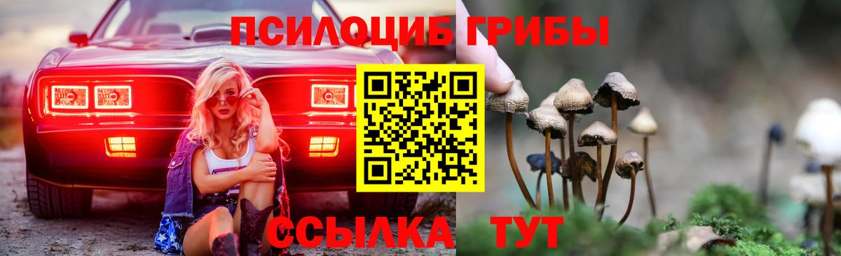 Кингисепп  Галлюциногенные грибы MAGIC MUSHROOMS  Вход с VPN 